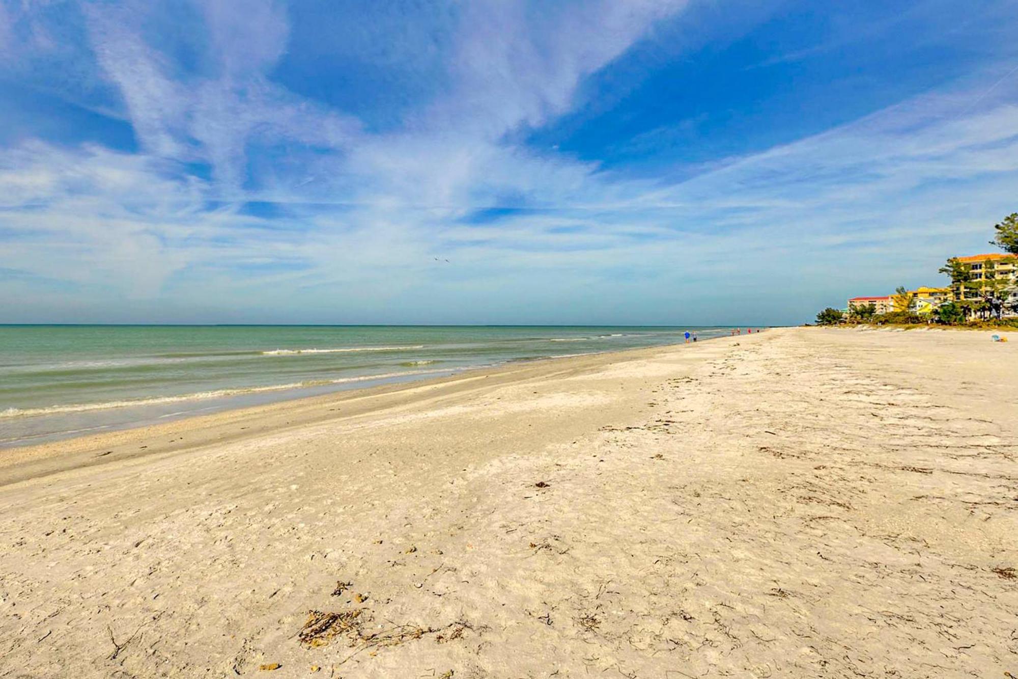 Tropical Paradise Clearwater Beach Bilik gambar