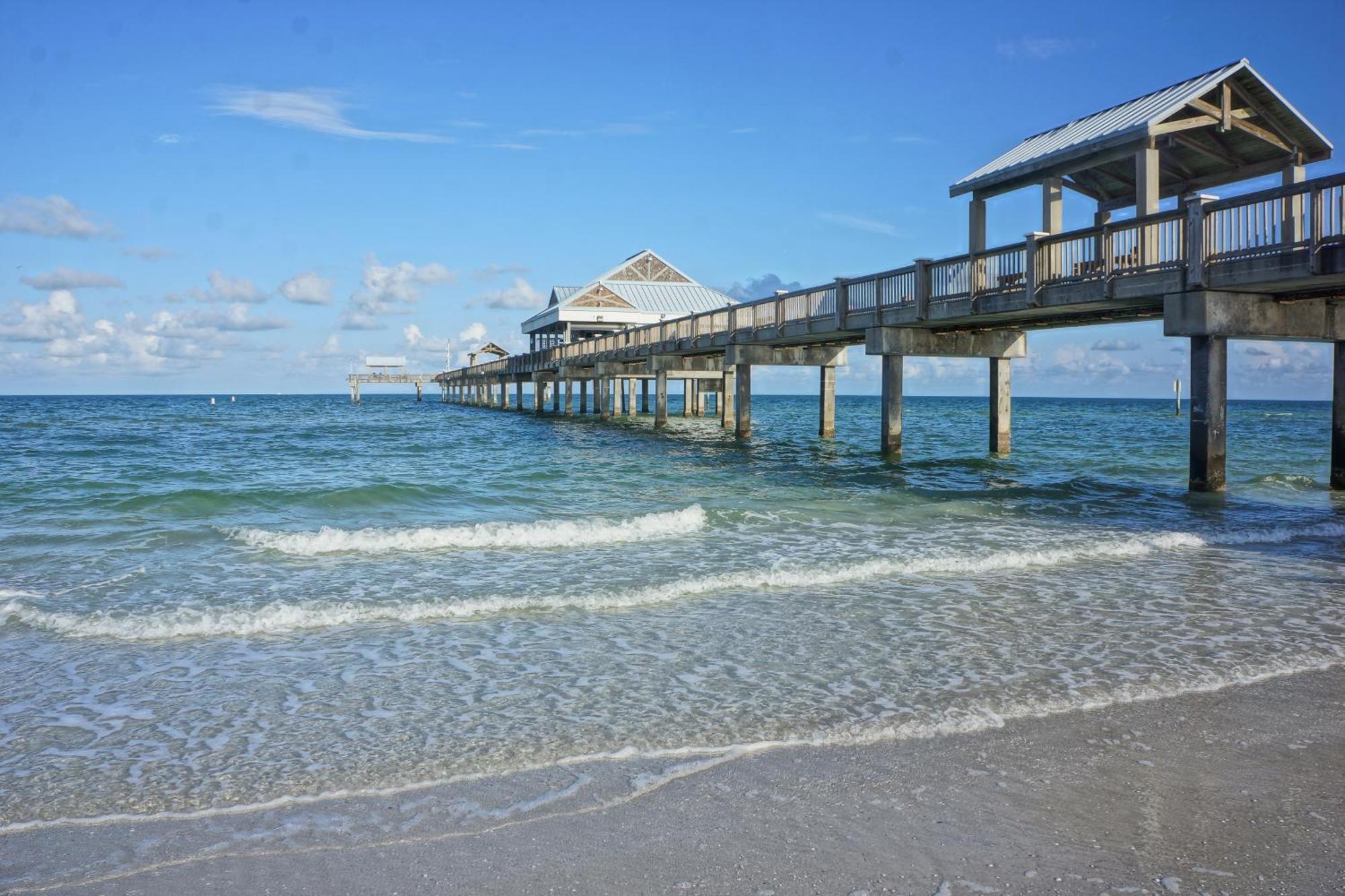 Tropical Paradise Clearwater Beach Bilik gambar