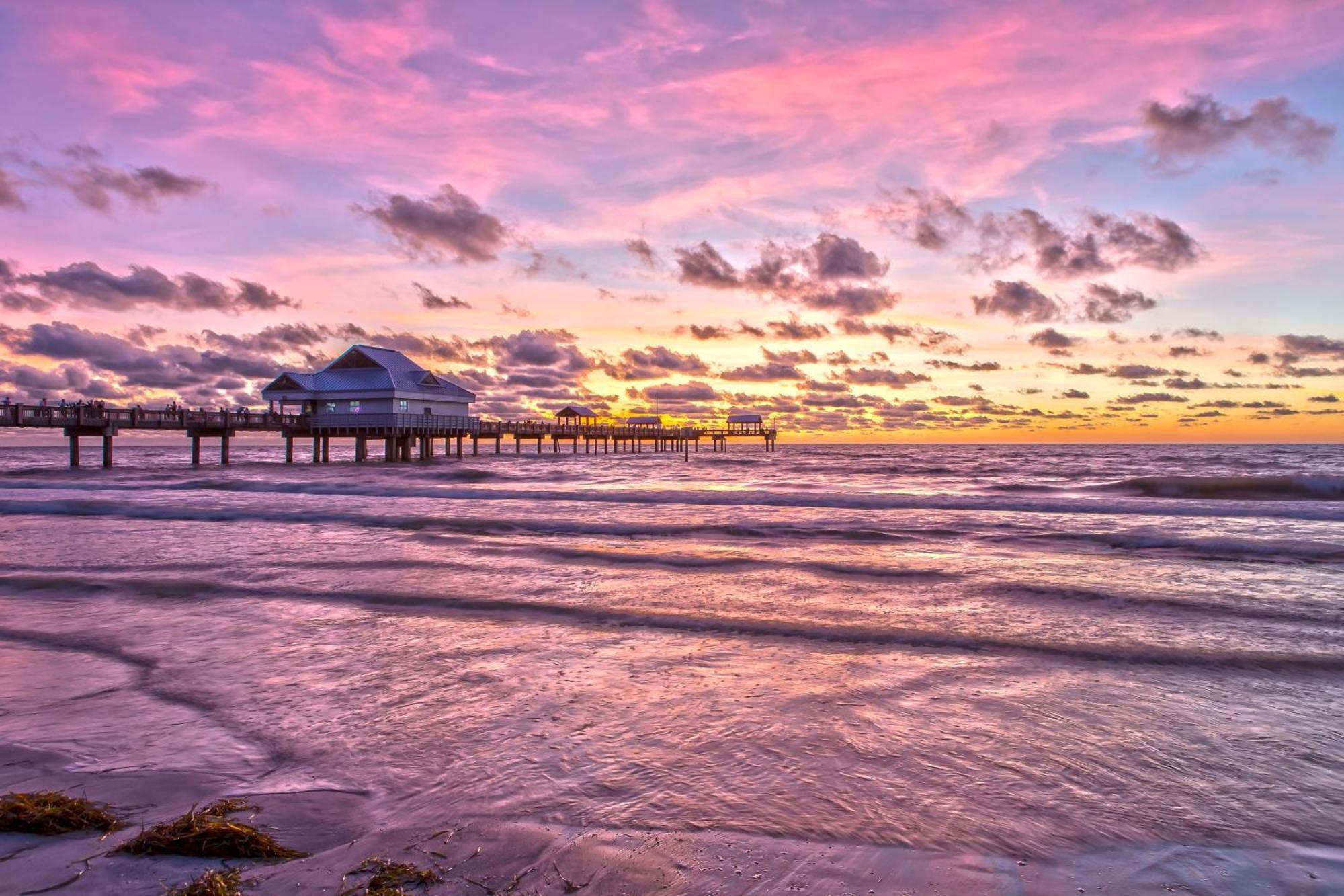 Tropical Paradise Clearwater Beach Bilik gambar