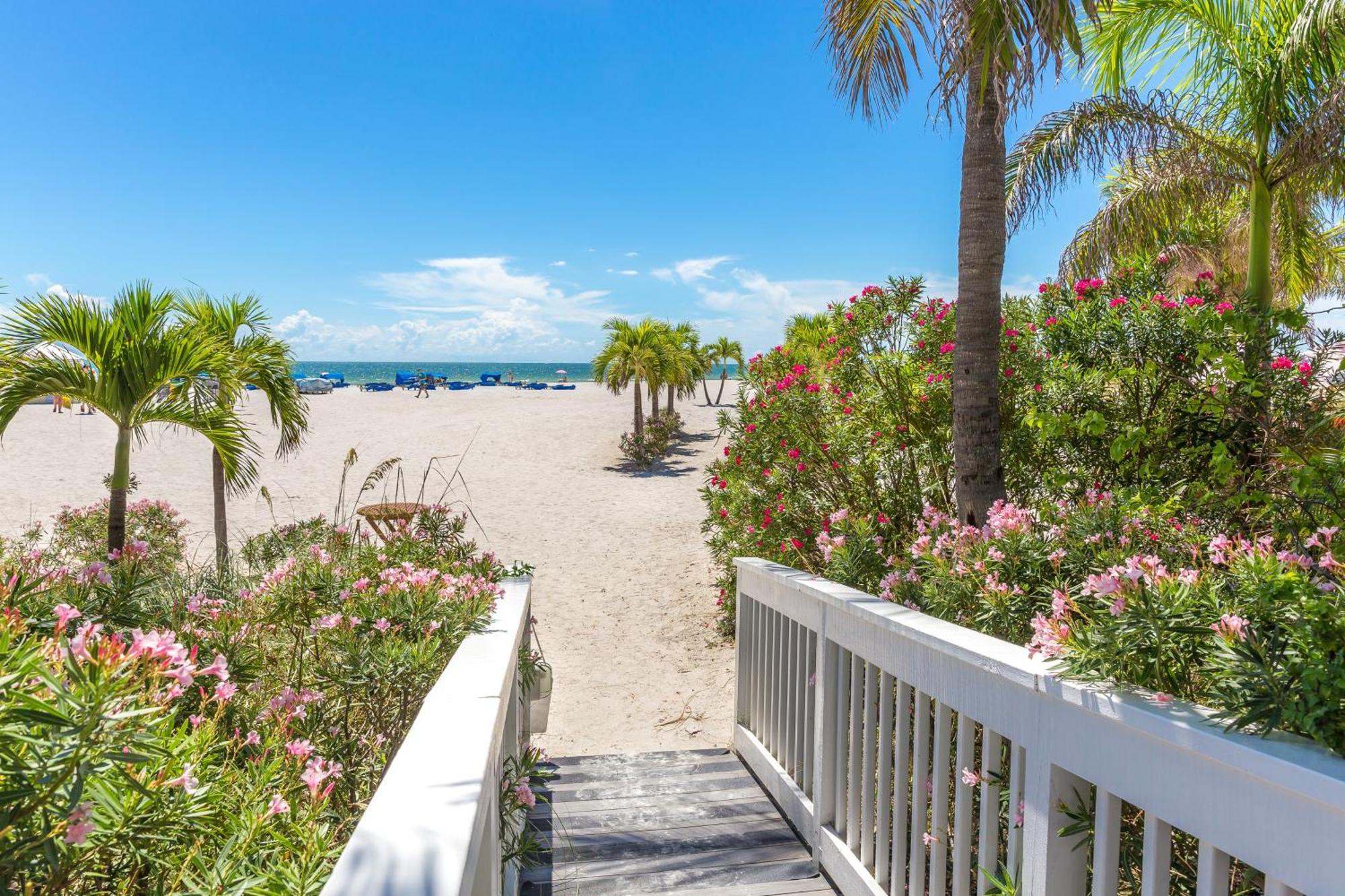 Tropical Paradise Clearwater Beach Bilik gambar